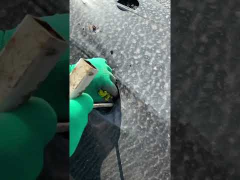 Как сажать рассаду