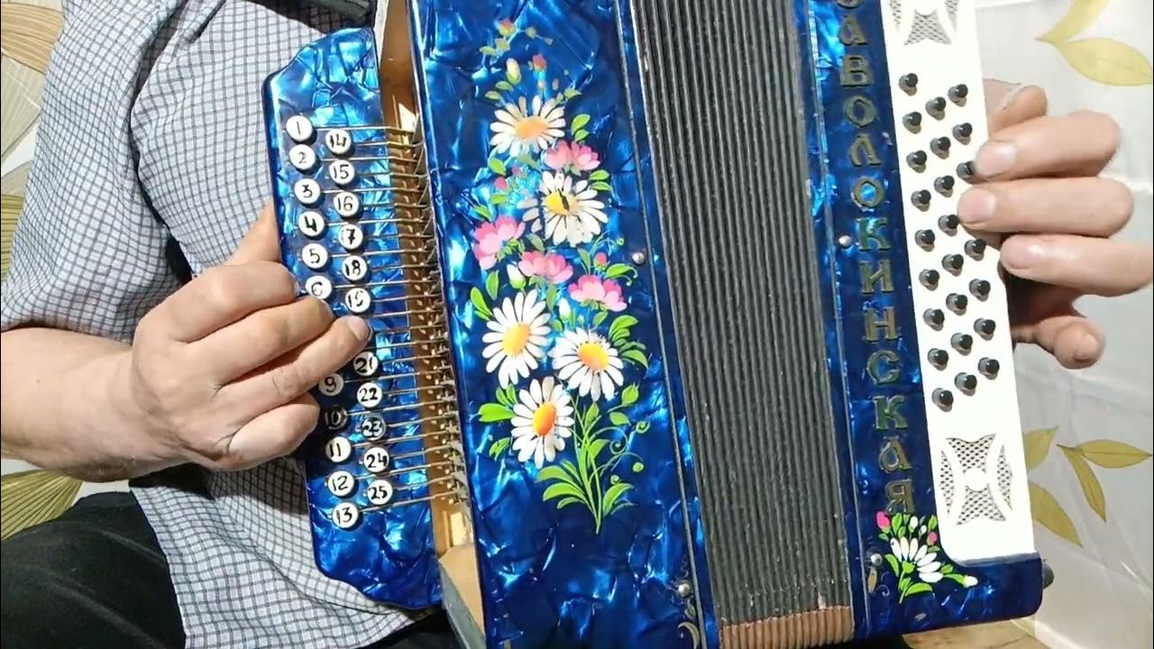 разборы под гармонь