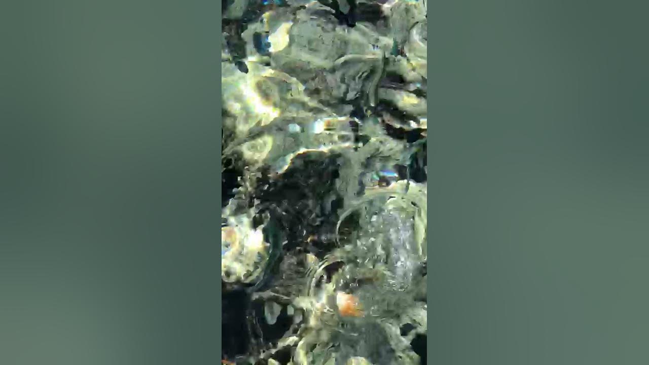 НЛО В Шарм Эль Шейхе