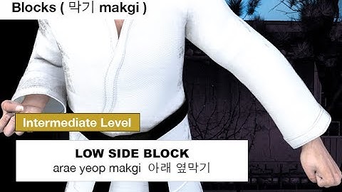 Taekwondo - Low Side Block ( 아래 옆막기 arae yeop makgi )