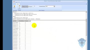 55005 4 Report Builder 3 0   Query Parameters
