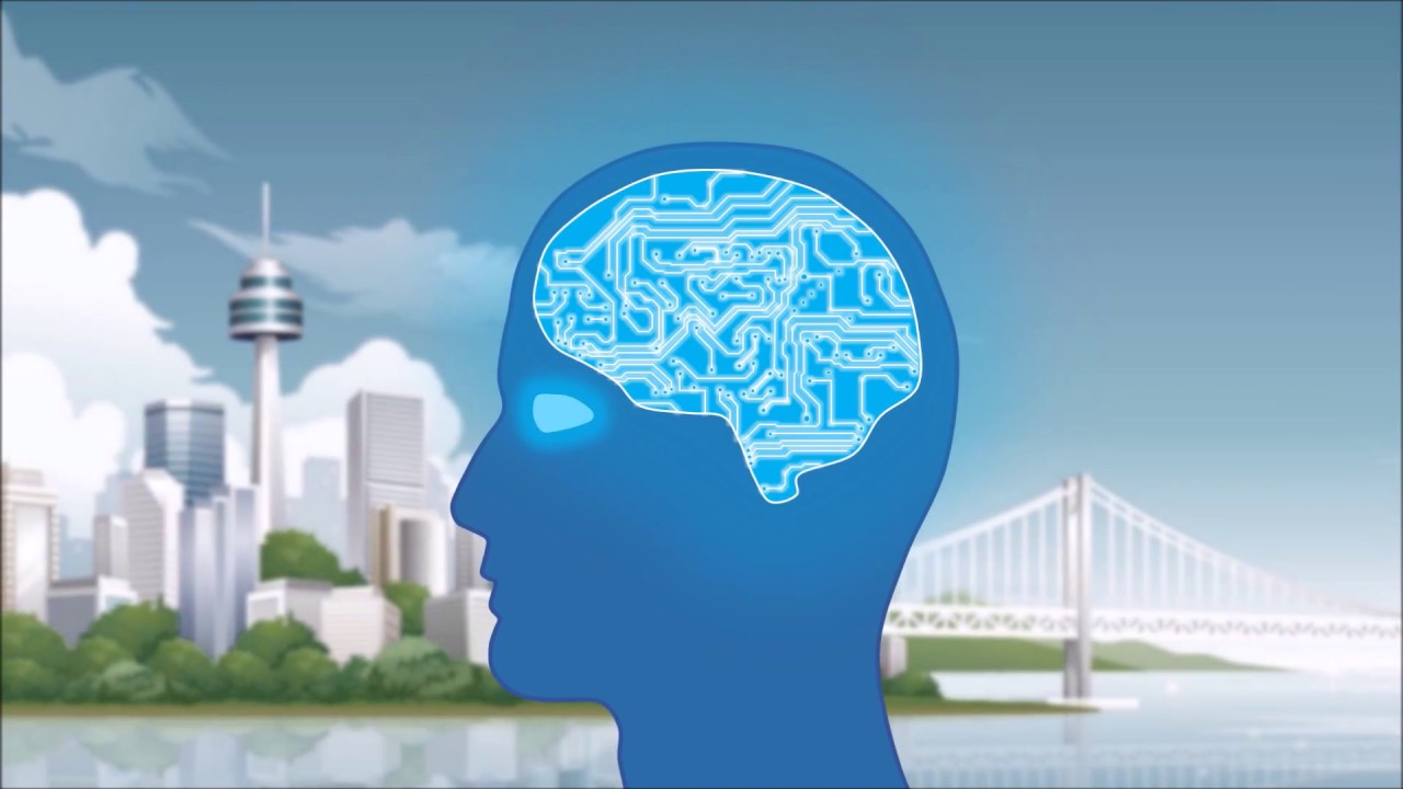 Intelligent Systems - Group C Project