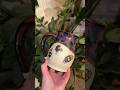 A custom soot sprite mug! #sootsprite #handmadepottery