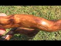 Middle of video