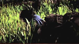 ch 3 obedience brings blessings 720p eng