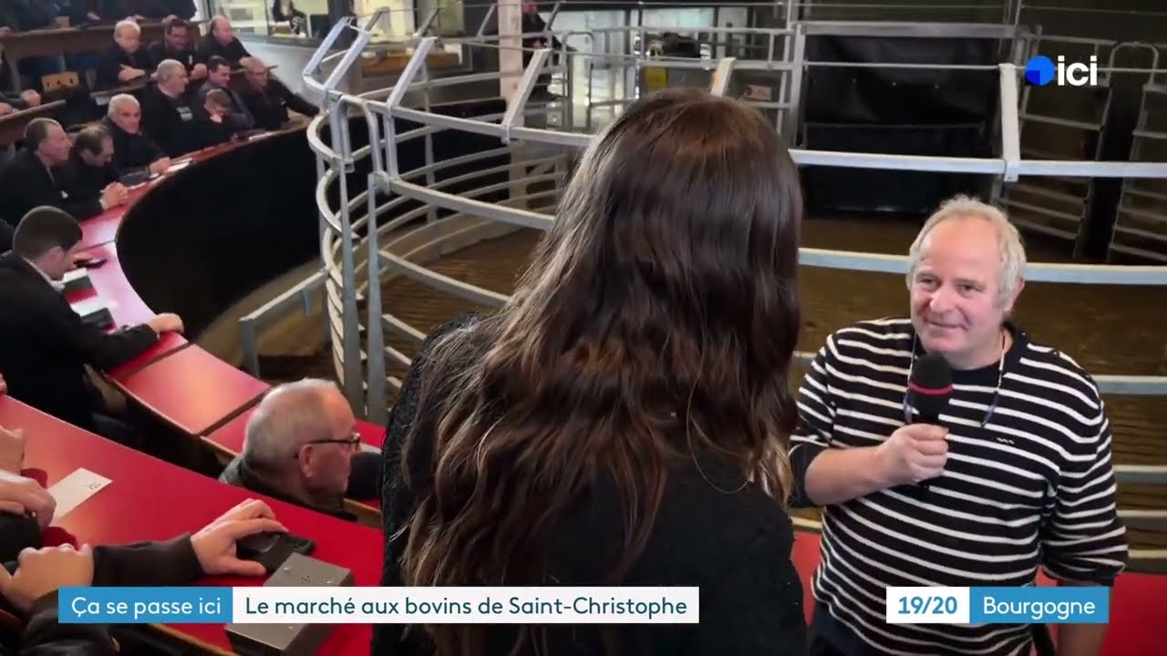 Ça se passe ici - le Charolais-Brionnais (Saône-et-Loire) - Le marché au cadran de Saint-Christophe