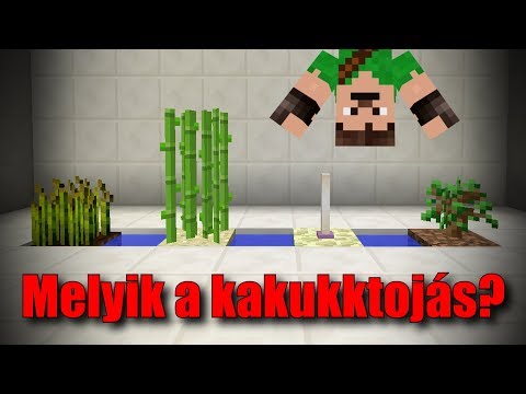 Videó: Melyik nem a karbonátérc(ek)?