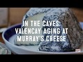 Goat Cheese Aging in Queens, New York! | Valencay in Murray's Cheese Caves | Murray's Cheese