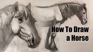 How to Draw a Horse