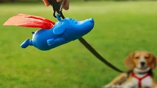 5 Cool Pet Toys On Amazon (Amazing Products) (For Pet Lovers) screenshot 1