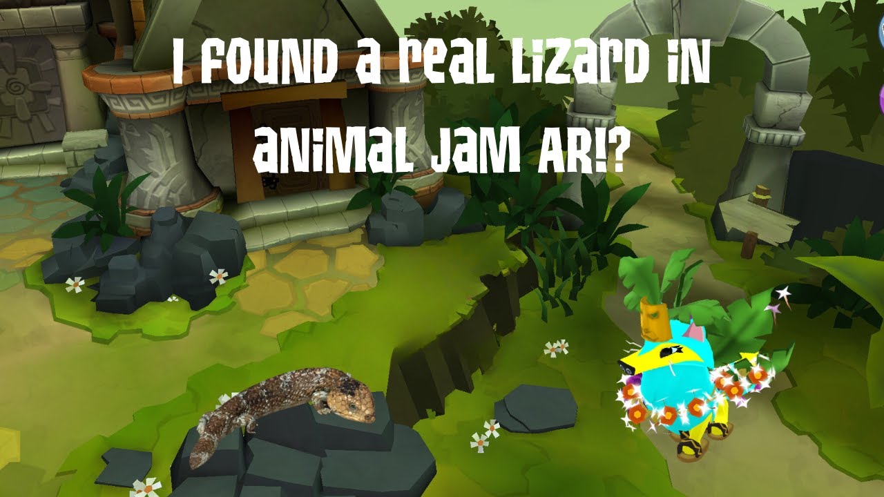 Playing Animal Jam Play Wild AR Outdoors and finding a Bobtail Lizard