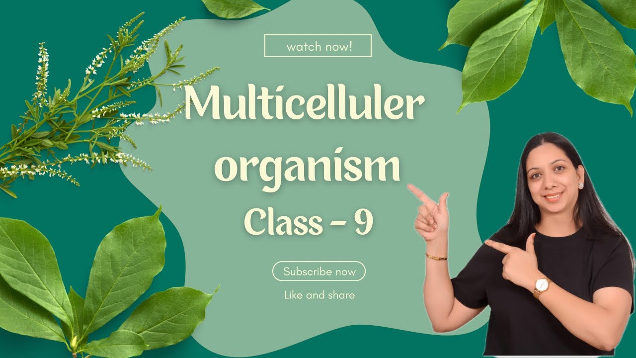 Class - 9 MULTICELLULER ORGANISMS