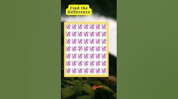 find the diff #75 #difference #play spot