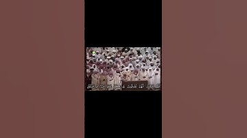 #تلاوة_خاشعة #تلاوة_مميزة #سعود_الشريم #قران_كريم  #قرآن #الحرم_المكي