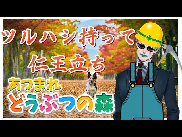 【あつまれ どうぶつの森】物は集まって来たけどガケとか崩すの怖すぎる【にじさんじ/ジョー・力一】のサムネイル