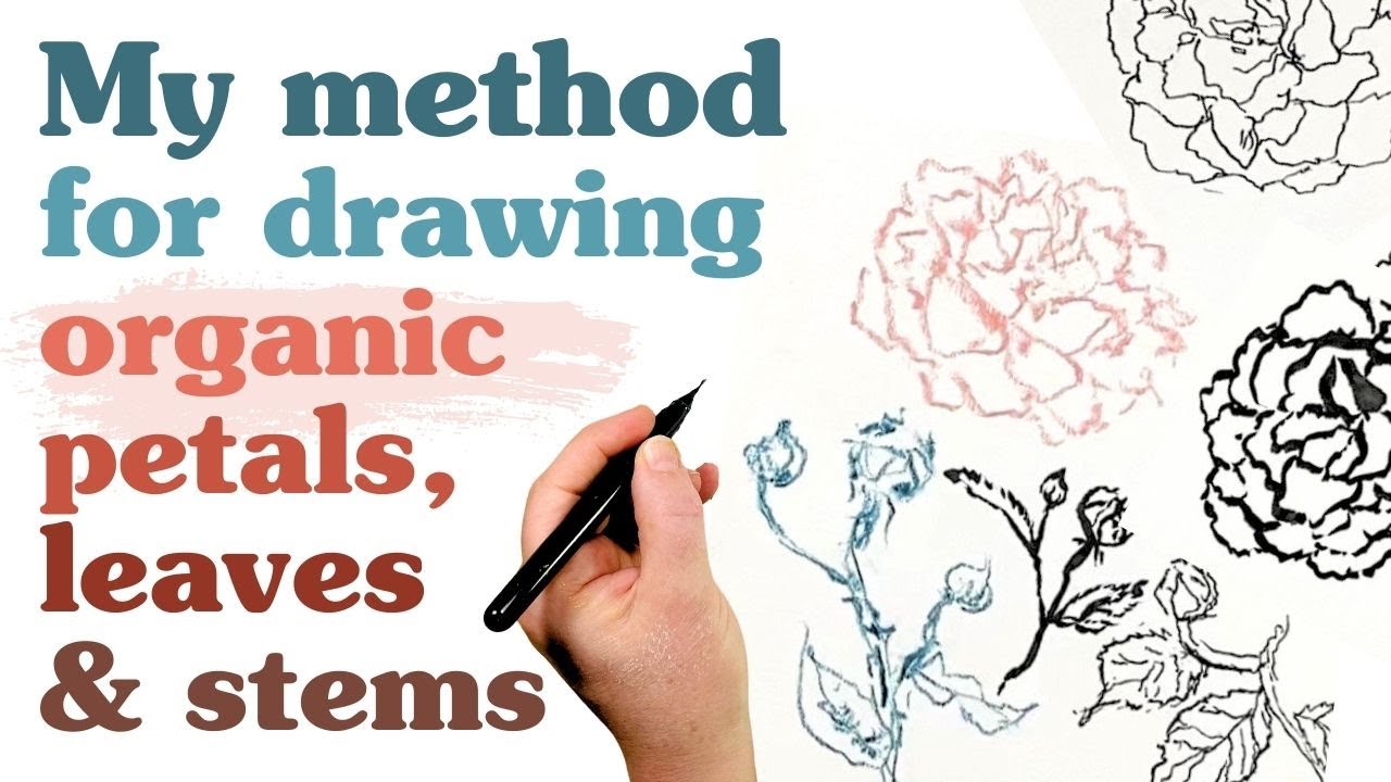 How to draw organic leaves, stems & petals - YouTube