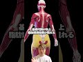 もし1日50回の腕立て伏せを2ヶ月続けると？ #健康飲食 #健康ライフ #健康養生 #健康