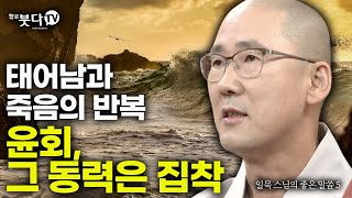 태어남과 죽음 반복 윤회 그 동력은 집착 | 임종 윤회 신비한 비밀 집착 탐욕 성냄 삼독 | 일묵스님(제따와나 선원장) | 일묵스님의 생명과 죽음의 이야기 5회