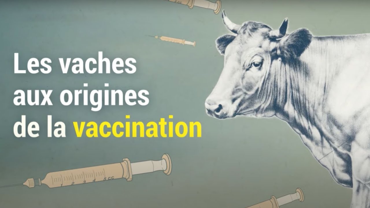 Le vaccin, une découverte ancestrale et étonnante | Histoire(s) de virus 🦠