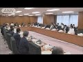 所得税制の“抜本改革”へ　政府税調が議論(15/07/03)