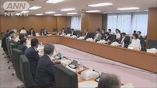 所得税制の“抜本改革”へ　政府税調が議論(15/07/03)