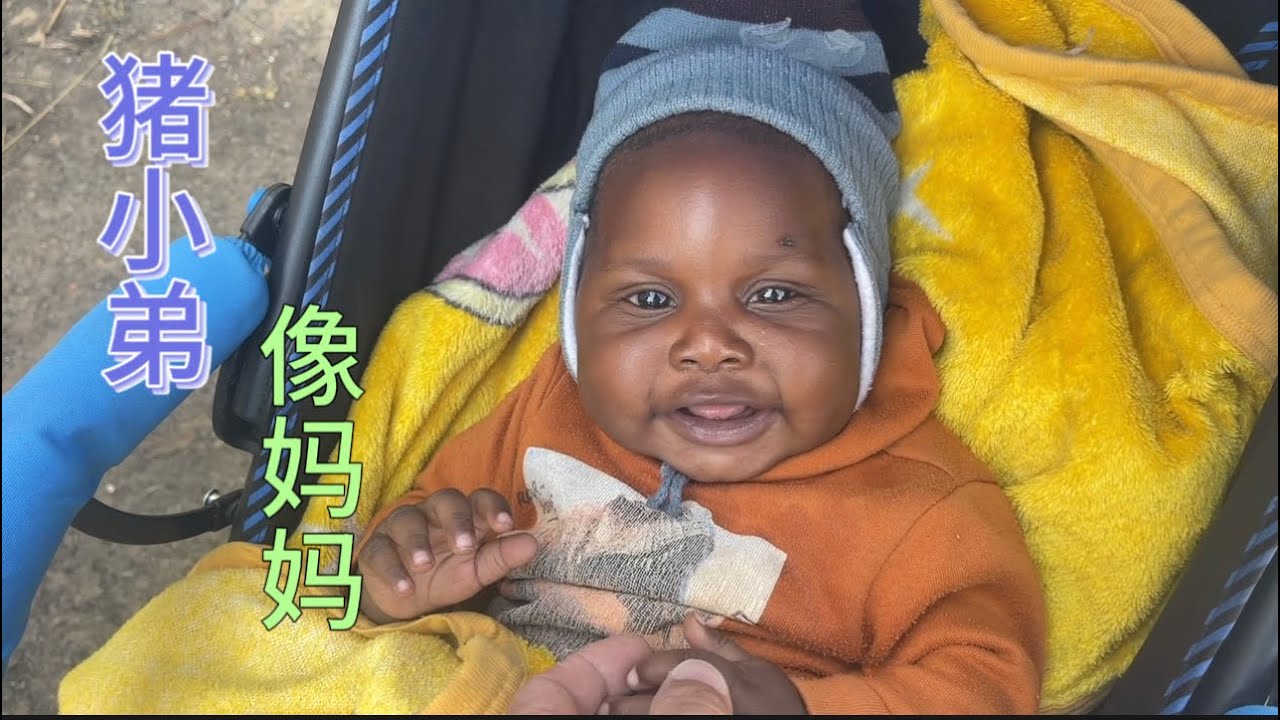 猪猪妈跑回娘家是因为这个，大家给罗伯特出出主意，到底谁是谁非