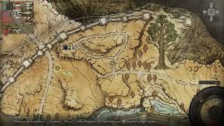 Elden ring with fsr amazing on linux