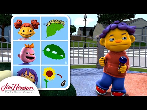 What Do Leaves Do? | Sid The Science Kid | The Jim Henson Company