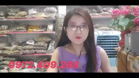 NGƯỜI HUYẾT ÁP THẤP CÓ DÙNG CÂY XẠ ĐEN ĐƯỢC KHÔNG?