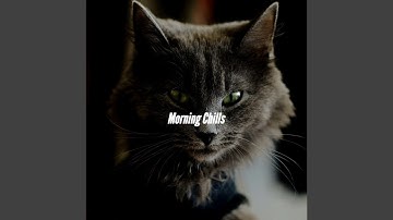 Pulsating Moods for Chilling the Details