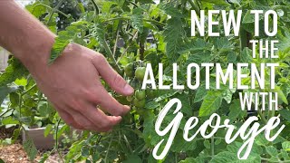 New to the Allotment, with George