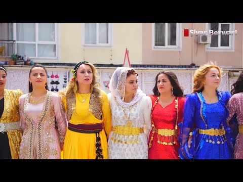 Şiyar Berwari -  Antalya Mamxuran Aşireti Düğünü  [ 2022 ©  ] شيار برواري