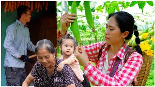 Sang suami mempercantik dapur, sang istri memetik luffa untuk dijual. Makanan masa kecil