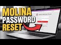 How to Reset Molina Member Portal Password – Recovery Guide