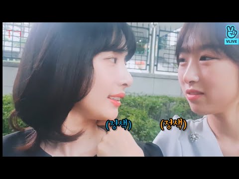 우주소녀(WJSN) 떨뚜케미(설아 수빈)