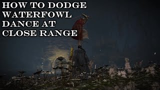 Elden Ring - Waterfowl Close-Range Dodge Tutorial