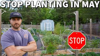 I'm Planting NO VEGGIES In May Right Now. Neither Should You!