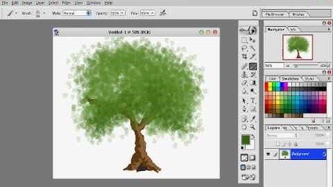Drawing A Tree In Adobe Photoshop 7 0