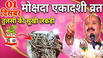 01 दिसंबर सोमवार मोक्षदा एकादशी व्रत को तुलसी की सुखी लकड़ी वाला उपाय जरुर करे || Pradeep Ji Mishra 