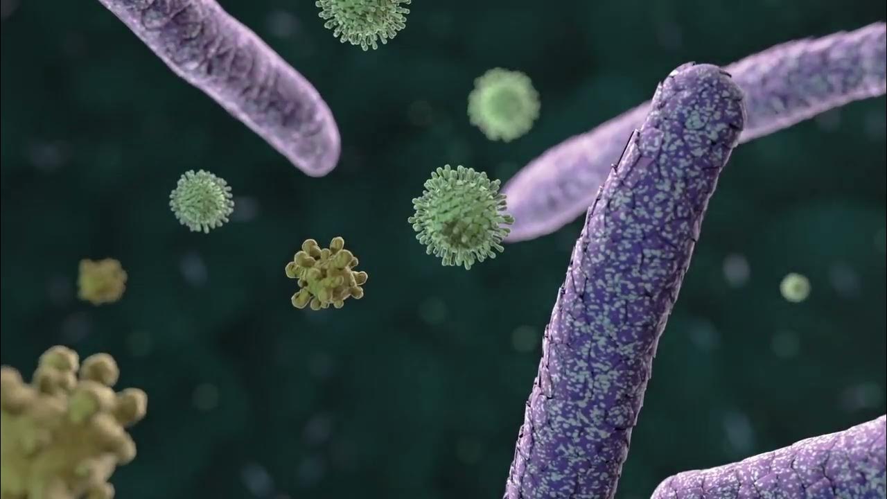 Воздушные бактерии. Микроорганизмы в воздухе. Бактерии в воздухе помещений.