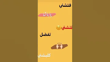 فاتشني يا باشا فتشني 
