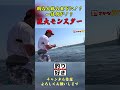 明石大橋の真下に潜むモンスター #boatfishing #fishing #船釣り #船釣り #釣り #釣り好きやねん#shorts