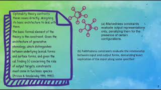 Celebrity Optimality Theory Net Worth