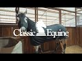 Classic equine full body slinky