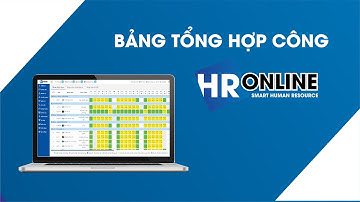 Bảng tổng hợp công - phần mềm quản lý nhân sự HrOnline