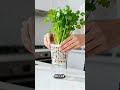Grow Unlimited Celery at Home – No Soil Needed #Shorts