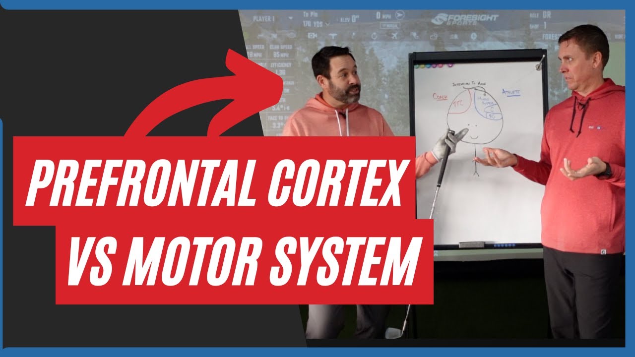 Tuesday Tip: Prefrontal Cortex vs Motor System - YouTube