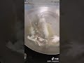 煮尽くした魚でも動くんだね。。。