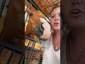 Problematic horse of the week! #katievanslyke #aqha #foal