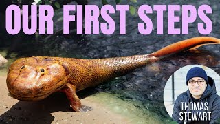 WHEN FISH WALKED - Tiktaalik, Qikiqtania & Early Tetrapods ~ with THOMAS STEWART